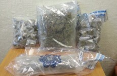 Gardaí seize €40k of cannabis in Longford raid