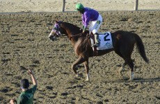 'This is the cowards' way out' - California Chrome's owner was NOT happy at losing the Triple Crown