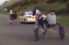 Banning sulky racing 'could make it more dangerous and drive it underground'