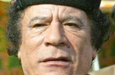 Gaddafi vows to 'fight to the death '