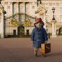 The live-action Paddington Bear is freaking everybody out