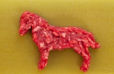 Leaving Cert students asked question on horsemeat scandal