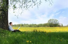 Highs of 20 degrees today, time to ask your boss if you can work outdoors!