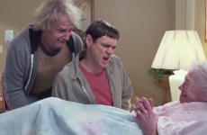 We watched the new Dumb and Dumber trailer so you don't have to