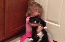 16 reasons children and pets are a magic combination