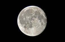 Man arrested for trying to shoot the moon