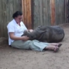 Orphaned baby rhino refuses to sleep alone and will break your heart