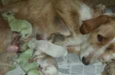 6 unexpected things that happened this week