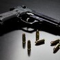 Poll: Would you support a gun amnesty?