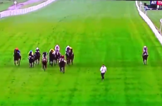 A very stupid man decided to run with the horses at Leicester Races yesterday