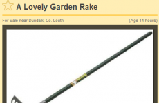 This DoneDeal rake ad is a perfect example of Irish brotherly love