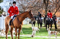 Anti-cruelty group calls for 'appalling' fox hunt blessings to end