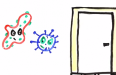 Does hovering over a public toilet actually make a difference?