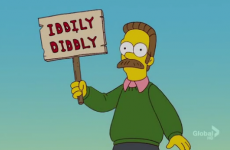 Live in Cork? Ned Flanders could be your new neighborino