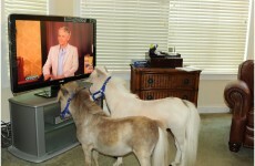 What to watch on TV tonight: Tuesday