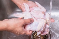 More than half of you wash raw chicken and that's really dangerous