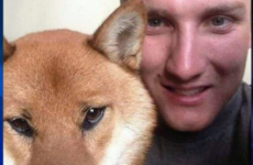 Deployed soldier's dog to be returned to him after ex-girlfriend sold pet online
