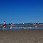 Don't go swimming at Bettystown Beach - the water's not fine