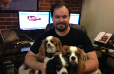 This man gets paid €33 an hour to run social media for three dogs