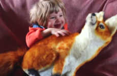 These adorable Irish kids don't know what a fox and a badger is
