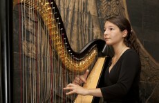 Calling all harpers: The Arts Council wants you