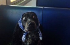10 problems only constant worriers will understand