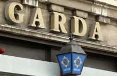 Decision to allow gardaí strike would raise "serious" issues for Ireland