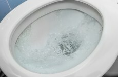 Irish Water has advised people to give their toilets "a smaller flush" to save water