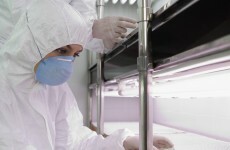 Fear as 86 workers in US lab exposed to anthrax