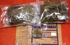 Four men to appear in court after €376,000 cannabis seizure