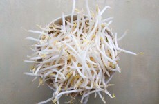 E.coli outbreak: It is the sprouts after all say German authorities