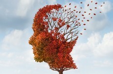 7 memory skills that will make you smarter*