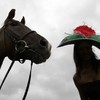 Day at the Races: Why do racehorses have such bizarre names?