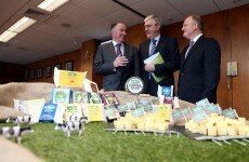 Irish Dairy Board opens $12m US cheese plant