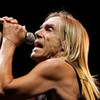 Amnesty International apologises to Iggy Pop over 'Justin Bieber' ad