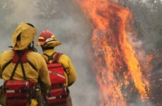 Video, Photos: Arizona wildfires spreading towards New Mexico border