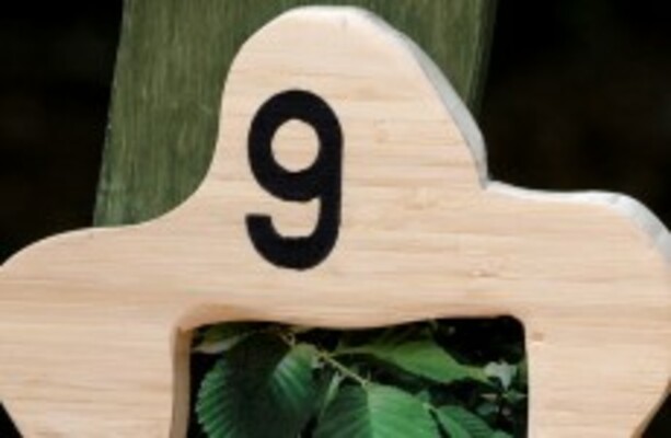 The 9 at 9: Thursday · TheJournal.ie