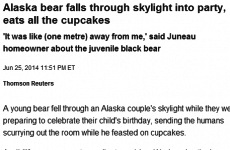 Party-crashing bear inspires greatest headline of the day