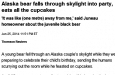 Party-crashing bear inspires greatest headline of the day