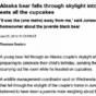Party-crashing bear inspires greatest headline of the day
