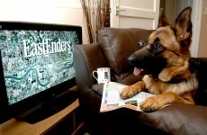 Watching 3 hours of television every day doubles the risk that you'll die young