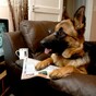 Watching 3 hours of television every day doubles the risk that you'll die young