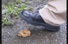 The 9 stages of rage of stepping in dog sh**e