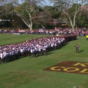 Hundreds of students join in for spine-tingling New Zealand schools haka