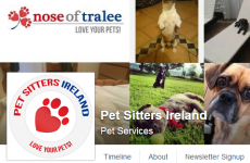 There is a 'Nose of Tralee' competition for lovely pets
