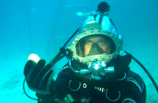 Here's what happens when you crack an egg underwater