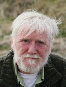 Writer Dermot Healy dies aged 66