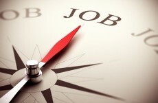 250+ jobs to be announced at Cork company