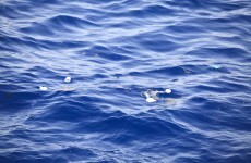 Almost the entire ocean surface has some plastic debris
