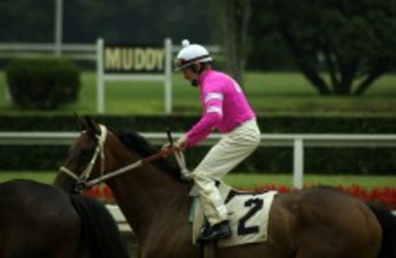 Day at the Races How do jockeys choose their bright colours?